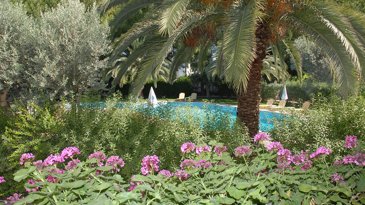 Niki Apartments - NR 